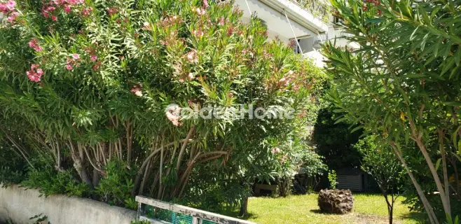 Studio 30m<sup>2</sup> for rent photo 5446542