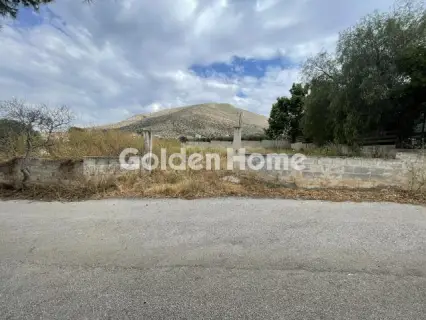Residential 370m<sup>2</sup> for sale photo 6