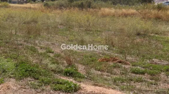 Professional Plot 260m<sup>2</sup> for sale photo 5463320