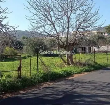 Residential 561m<sup>2</sup> for sale photo 7
