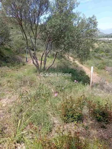 Residential 7000m<sup>2</sup> for sale photo 5459600
