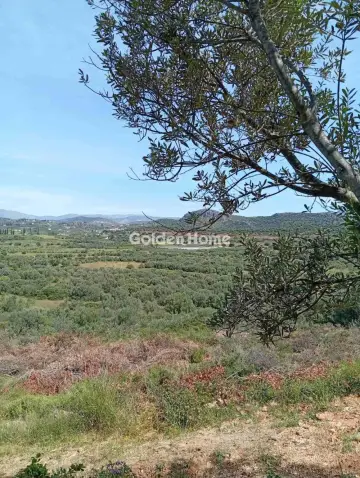 Residential 7000m<sup>2</sup> for sale photo 5459601