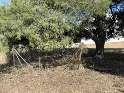 Residential 400m<sup>2</sup> for sale photo 4