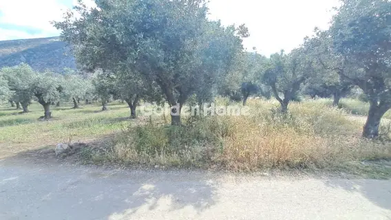 Residential 1378m<sup>2</sup> for sale photo 5451505