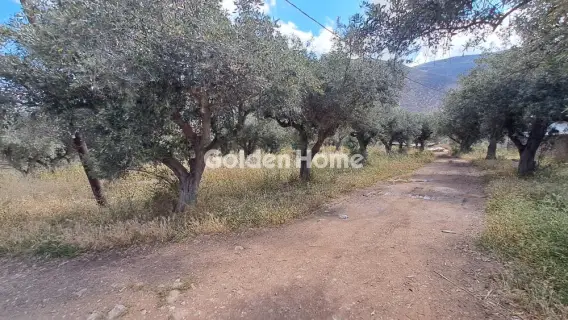 Residential 1378m<sup>2</sup> for sale photo 5451506