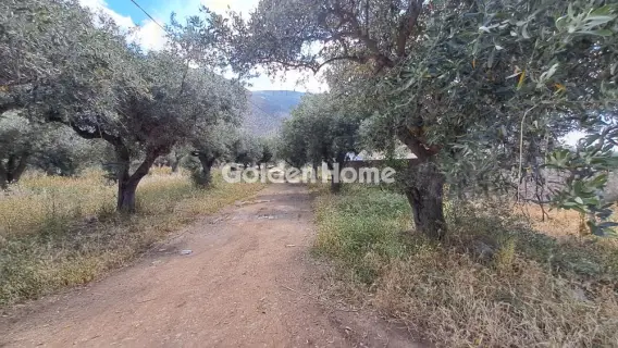 Residential 1378m<sup>2</sup> for sale photo 5451509
