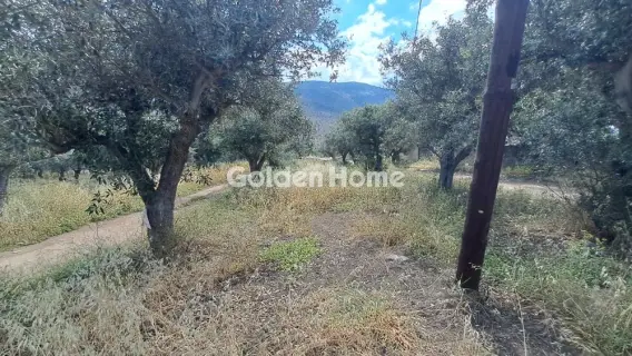住宅 1378m<sup>2</sup> for sale photo 5451572