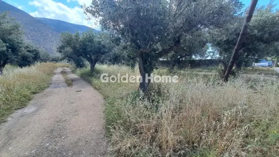 住宅 1378m<sup>2</sup> for sale photo 5451507