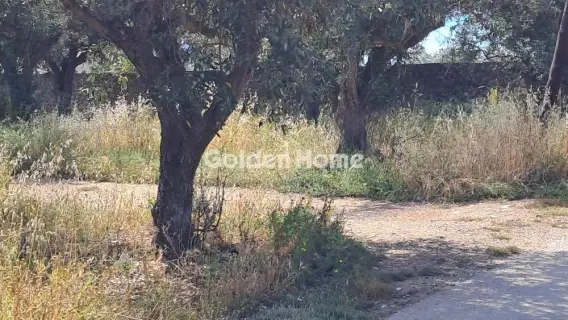 Residential 1378m<sup>2</sup> for sale photo 5451508
