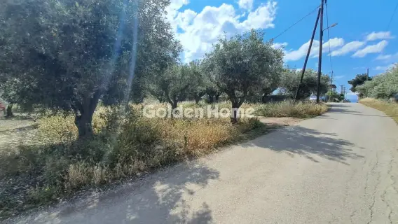 Residential 1378m<sup>2</sup> for sale photo 5451503