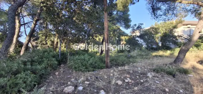Residential 1009m<sup>2</sup> for sale photo 5497589