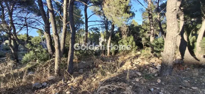 Residential 1009m<sup>2</sup> for sale photo 5497590