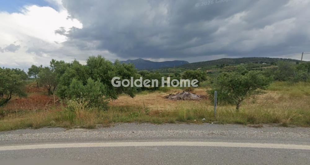 Αγροτεμάχιο 1800τ.μ. προς πώληση φωτογραφία προβολής