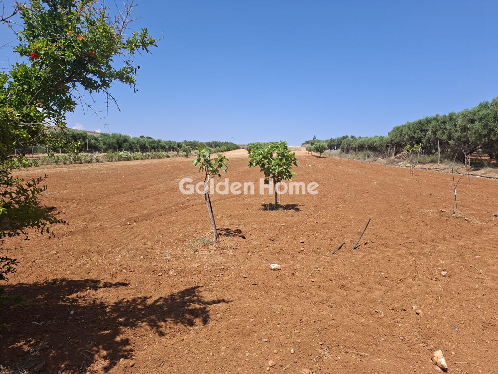 building-plot in Episkopi — Photo 2 of 25