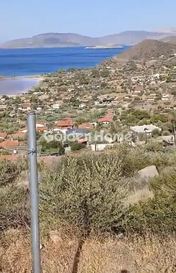 Αγροτεμάχιο 543τ.μ. προς πώληση φωτογραφία 5453683