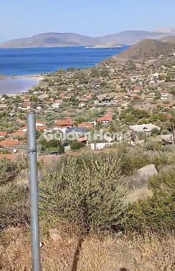 Αγροτεμάχιο 543τ.μ. προς πώληση φωτογραφία προβολής