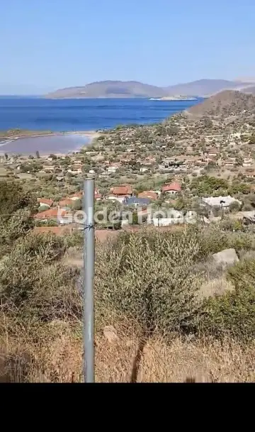 Αγροτεμάχιο 543τ.μ. προς πώληση φωτογραφία 5453684