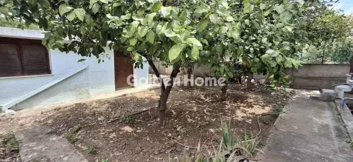 Apartment 80m<sup>2</sup> for sale photo 39
