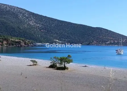 Οικιστικό 4725τ.μ. προς πώληση φωτογραφία 9