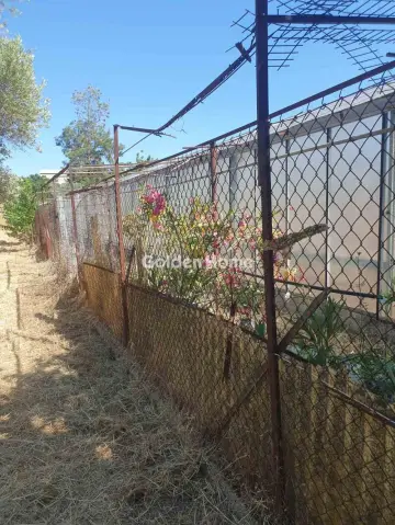 Professional Plot 2200m<sup>2</sup> for sale photo 5