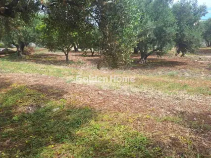 住宅 428m<sup>2</sup> for sale photo 5459715