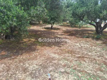 住宅 428m<sup>2</sup> for sale photo 5459719
