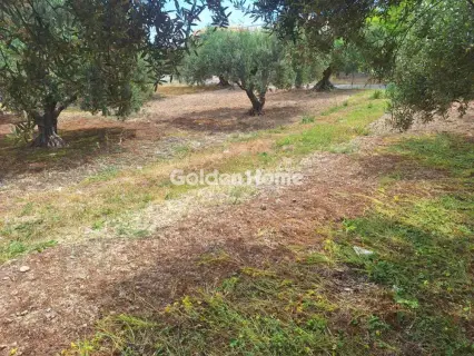 住宅 428m<sup>2</sup> for sale photo 5459720