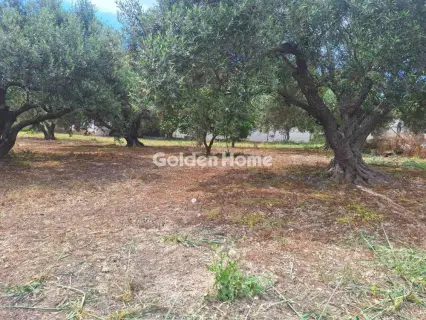 Residential 428m<sup>2</sup> for sale photo 5459725