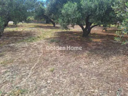 Residential 428m<sup>2</sup> for sale photo 5459730