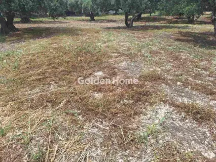 Residential 650m<sup>2</sup> for sale photo 2