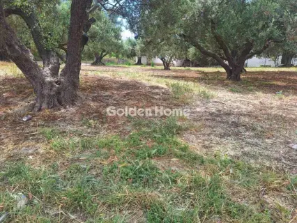住宅 650m<sup>2</sup> for sale photo 26