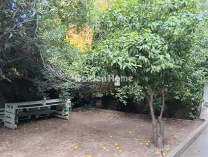 房子 300m<sup>2</sup> for rent photo 25