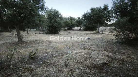 Residential 527m<sup>2</sup> for sale photo 5458843