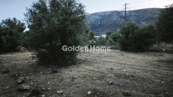 Residential 527m<sup>2</sup> for sale photo 5458844