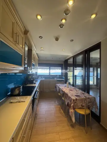 House 730m<sup>2</sup> for sale photo 3