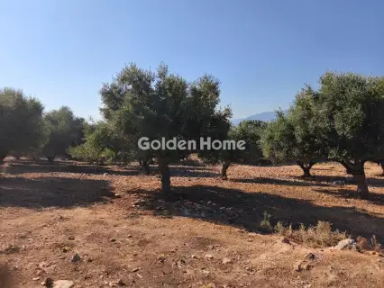 Οικιστικό 4612τ.μ. προς πώληση φωτογραφία 5598604
