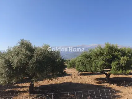 Οικιστικό 4612τ.μ. προς πώληση φωτογραφία 5598607