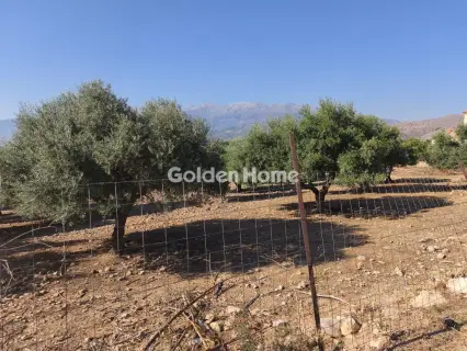 Οικιστικό 4612τ.μ. προς πώληση φωτογραφία 5598605