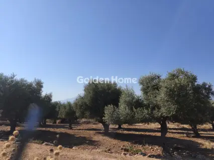 Οικιστικό 4612τ.μ. προς πώληση φωτογραφία 5598610