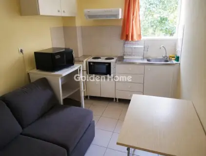 Studio 30m<sup>2</sup> for sale photo 1