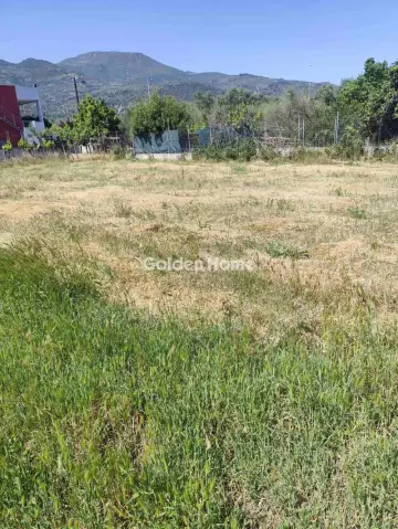 Αγροτεμάχιο 500τ.μ. προς πώληση φωτογραφία 5527575