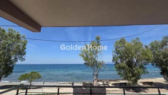 Apartment 82m<sup>2</sup> for rent photo 5466473