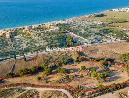 Professional Plot 23343m<sup>2</sup> for sale photo 5497024