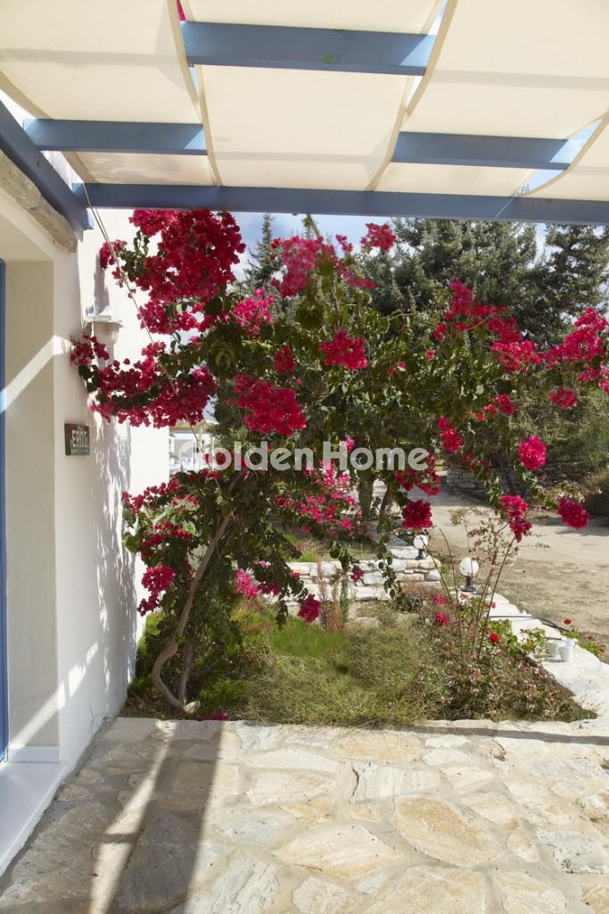 Ξενοδοχείο στην Άγιος Προκόπιος, Νάξος — Φωτογραφία 25 από 78