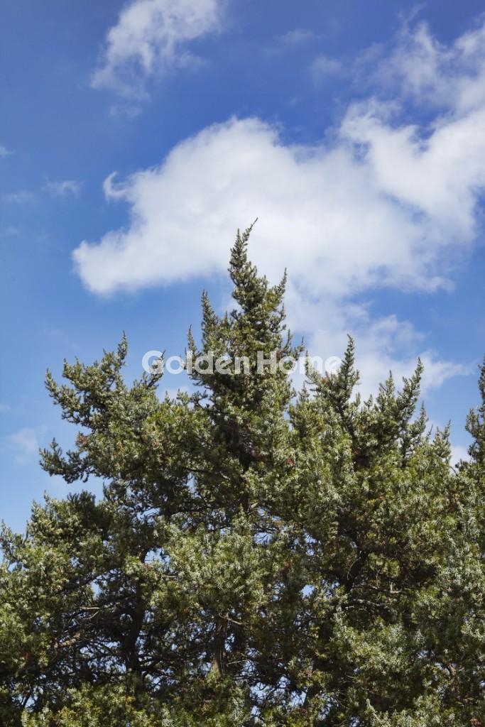 Ξενοδοχείο στην Άγιος Προκόπιος, Νάξος — Φωτογραφία 54 από 78