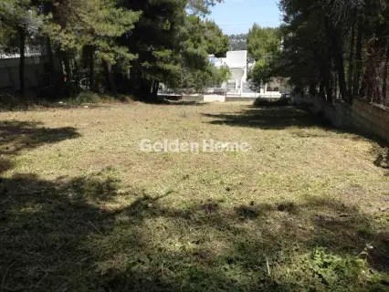 住宅 845m<sup>2</sup> for sale photo 5484100