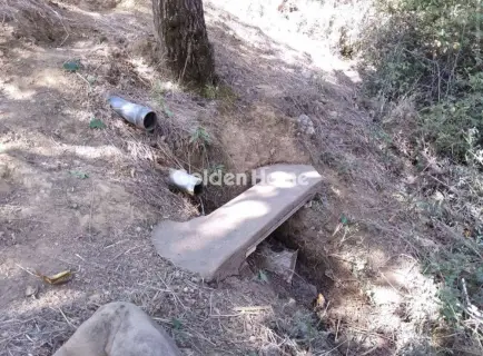 Αγροτεμάχιο 4500τ.μ. προς πώληση φωτογραφία 5484889
