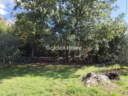 Αγροτεμάχιο 4500τ.μ. προς πώληση φωτογραφία 5484880