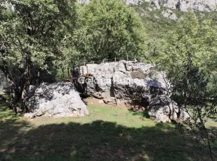 Αγροτεμάχιο 4500τ.μ. προς πώληση φωτογραφία 5484881