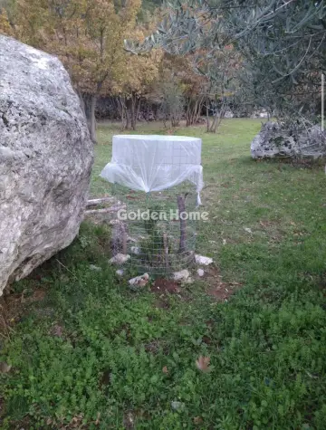 Αγροτεμάχιο 4500τ.μ. προς πώληση φωτογραφία 5484890